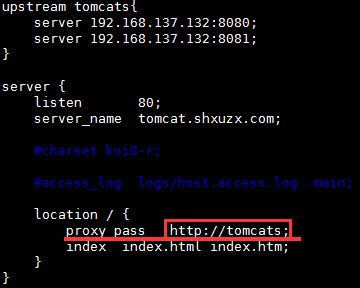 ab: invalid url|nginx .
